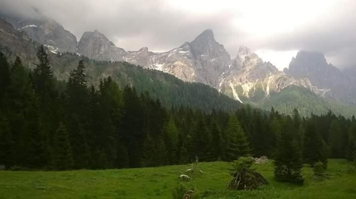 Hotel Garni Suisse San Martino Di Castrozza Extérieur photo